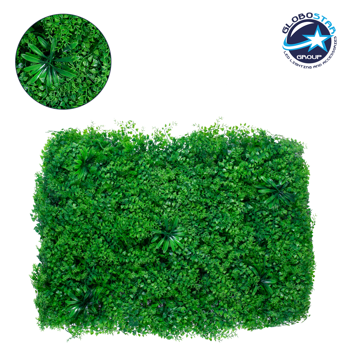 GloboStar® 78435 Artificial - Συνθετικό Τεχνητό Διακοσμητικό Πάνελ Φυλλωσιάς - Κάθετος Κήπος Φύλλα Αγγελικής - Πράσινο Μ60 x Υ50 x Π8cm