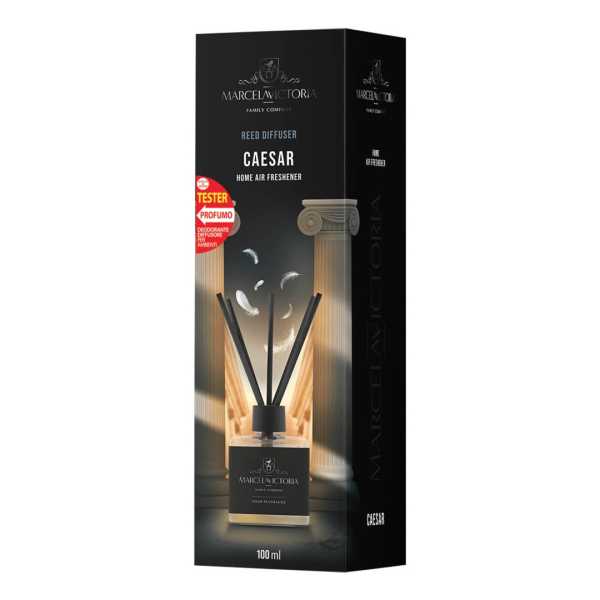 ceasar-oto ΑΡΩΜΑΤΙΚΟ ΧΩΡΟΥ 100ml ΜΕ STICKS - CAESAR - Image 2